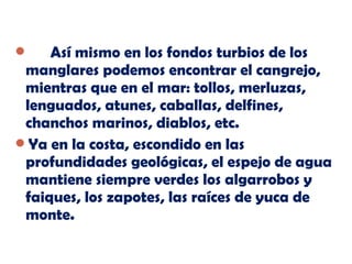 Así mismo en los fondos turbios de los
manglares podemos encontrar el cangrejo,
mientras que en el mar: tollos, merluzas,
lenguados, atunes, caballas, delfines,
chanchos marinos, diablos, etc.
Ya en la costa, escondido en las
profundidades geológicas, el espejo de agua
mantiene siempre verdes los algarrobos y
faiques, los zapotes, las raíces de yuca de
monte.


 