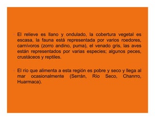 El relieve es llano y ondulado, la cobertura vegetal es
escasa, la fauna está representada por varios roedores,
carnívoros (zorro andino, puma), el venado gris, las aves
están representados por varias especies; algunos peces,
crustáceos y reptiles.

El río que alimenta a esta región es pobre y seco y llega al
mar ocasionalmente (Serrán, Río Seco, Chanrro,
Huarmaca).
 