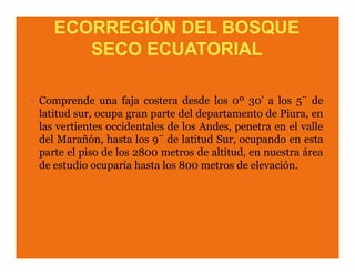 ECORREGIÓN DEL BOSQUE
   SECO ECUATORIAL
 