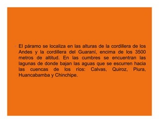El páramo se localiza en las alturas de la cordillera de los
Andes y la cordillera del Guaraní, encima de los 3500
metros de altitud. En las cumbres se encuentran las
lagunas de donde bajan las aguas que se escurren hacia
las cuencas de los ríos: Calvas, Quiroz, Piura,
Huancabamba y Chinchipe.
 