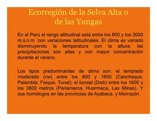 En el Perú el rango altitudinal está entre los 800 y los 3000
m.s.n.m. con variaciones latitudinales. El clima es variado
disminuyendo la temperatura con la altura; las
precipitaciones son altas y con mayor concentración
durante el verano.

Los tipos predominantes de clima son: el templado
moderado (cw) entre los 800 y 1600 (Canchaque,
Palambla, Faique, Tunal); el boreal (Dwb) entre los 1600 y
los 3800 metros (Pariamarca, Huarmaca, Las Minas). Y
sus homólogos en las provincias de Ayabaca, y Morropón.
 