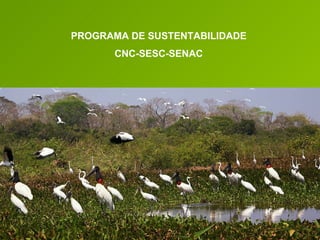 PROGRAMA DE SUSTENTABILIDADE CNC-SESC-SENAC 