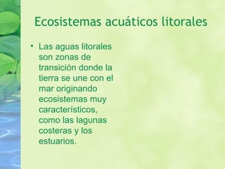 Ecosistemas acuáticos litorales
• Las aguas litorales
son zonas de
transición donde la
tierra se une con el
mar originando
ecosistemas muy
característicos,
como las lagunas
costeras y los
estuarios.
 