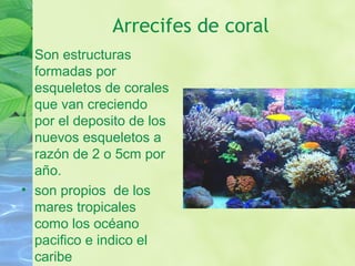 Arrecifes de coral
• Son estructuras
formadas por
esqueletos de corales
que van creciendo
por el deposito de los
nuevos esqueletos a
razón de 2 o 5cm por
año.
• son propios de los
mares tropicales
como los océano
pacifico e indico el
caribe
 