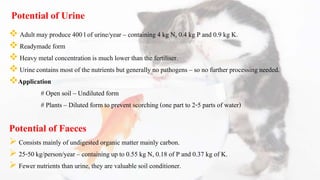 Potential of Urine
 Adult may produce 400 l of urine/year – containing 4 kg N, 0.4 kg P and 0.9 kg K.
 Readymade form
 Heavy metal concentration is much lower than the fertiliser.
 Urine contains most of the nutrients but generally no pathogens – so no further processing needed.
Application
# Open soil – Undiluted form
# Plants – Diluted form to prevent scorching (one part to 2-5 parts of water)
Potential of Faeces
 Consists mainly of undigested organic matter mainly carbon.
 25-50 kg/person/year – containing up to 0.55 kg N, 0.18 of P and 0.37 kg of K.
 Fewer nutrients than urine, they are valuable soil conditioner.
 
