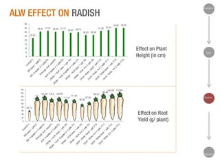 Hypothesis

ALW EFFECT ON RADISH
40
35

30.51 31.51 30.29 31.12
28.97 29.73

30
25

31.28 32.34

34.92 35.02

26.23 26.33

22.67

20
15

Effect on Plant
Height (in cm)

10
5
0

180
160

126

140
120

125.28 118.5 120.99
111.27

130.23

111.93

86.58

Test

142.83 153.84
142.65

Observe

97.95

100
80
60
40
20
0

59.73

Effect on Root
Yield (g/ plant)

Inference

 