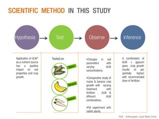 SCIENTIFIC METHOD IN THIS STUDY

Hypothesis

Application of ALW*
as a nutrient source
has a positive
impact on soil
properties and crop
growth.

Test

Tested on

Observe

•Changes in soil
parameters
with
varying
ALW
concentrations.

•Comparative study of
maize & banana crop
growth with varying
treatment
with
fertilizer , ALW &
different
ALW
combinations.

Inference

A combination of
ALW + gypsum
gives crop growth
results at par
(partially
higher)
with recommended
dose of fertilizer.

•Pot experiment with
radish plants.
*ALW - Anthropogenic Liquid Waste (Urine)

 