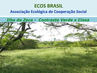 ECOS BRASIL
Associação Ecológica de Cooperação Social
Ilha do Zeca - Contraste Verde x Cinza
 