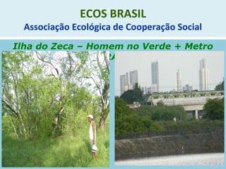 ECOS BRASIL
Associação Ecológica de Cooperação Social
Ilha do Zeca – Homem no Verde + Metro
BRASIL
 