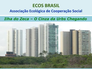 ECOS BRASIL
Associação Ecológica de Cooperação Social
Ilha do Zeca – O Cinza da Urbs Chegando
 