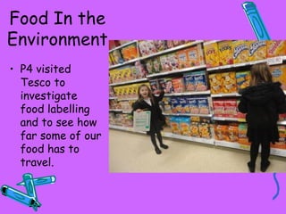 tesco garden waste bolsas