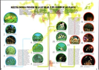 ©
w
w
w
.m
useodelaexpo92.com
 