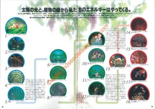 ©
w
w
w
.m
useodelaexpo92.com
 