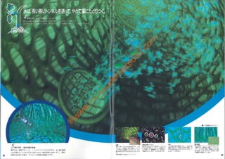 ©
w
w
w
.m
useodelaexpo92.com
 