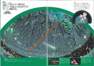 ©
w
w
w
.m
useodelaexpo92.com
 