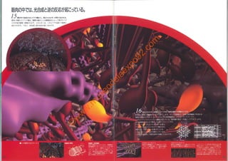 ©
w
w
w
.m
useodelaexpo92.com
 