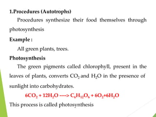 1.Procedures (Autotrophs)
Procedures synthesize their food themselves through
photosynthesis
Example :
All green plants, trees.
Photosynthesis
The green pigments called chlorophyll, present in the
leaves of plants, converts CO2 and H2O in the presence of
sunlight into carbohydrates.
6CO2 + 12H2O ----> C6H12O6 + 6O2+6H2O
This process is called photosynthesis
 
