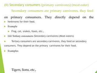 (ii) Secondary consumers (primary carnivores) (meat eater)
Secondary consumers are primary carnivores, they feed
 herbivores for their food.
 Example
 Frog, cat, snakes, foxes, etc.,
 (iii) Tertiary consumers (Secondary carnivores) (Meat-eaters)
 Tertiary consumers are secondary carnivores, they feed on secondary
consumers. They depend on the primary carnivores for their food.
 Examples
on primary consumers. They directly depend on the
Tigers, lions, etc.,
 