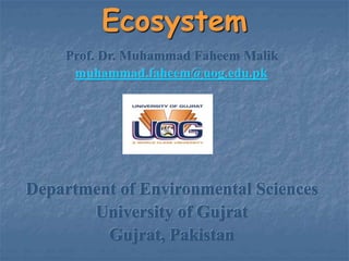 Ecosystem
Prof. Dr. Muhammad Faheem Malik
muhammad.faheem@uog.edu.pk
Department of Environmental Sciences
University of Gujrat
Gujrat, Pakistan
 