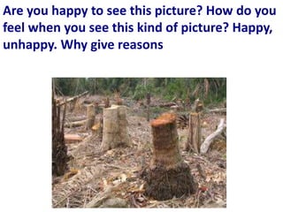 Are you happy to see this picture? How do you
feel when you see this kind of picture? Happy,
unhappy. Why give reasons
 