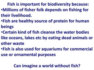 Fish is important for biodiversity because:
•Millions of fisher folk depends on fishing for
their livelihood.
•Fish are healthy source of protein for human
beings
•Certain kind of fish cleanse the water bodies
like oceans, lakes etc by eating dead animals or
other waste
•Fish is also used for aquariums for commercial
use or ornamental purposes
Can imagine a world without fish?
 