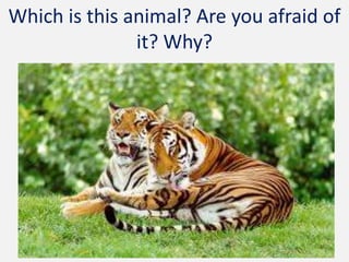 Which is this animal? Are you afraid of
it? Why?
 