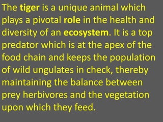 The tiger is a unique animal which
plays a pivotal role in the health and
diversity of an ecosystem. It is a top
predator which is at the apex of the
food chain and keeps the population
of wild ungulates in check, thereby
maintaining the balance between
prey herbivores and the vegetation
upon which they feed.
 
