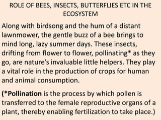 ROLE OF BEES, INSECTS, BUTTERFLIES ETC IN THE
ECOSYSTEM
Along with birdsong and the hum of a distant
lawnmower, the gentle buzz of a bee brings to
mind long, lazy summer days. These insects,
drifting from flower to flower, pollinating* as they
go, are nature’s invaluable little helpers. They play
a vital role in the production of crops for human
and animal consumption.
(*Pollination is the process by which pollen is
transferred to the female reproductive organs of a
plant, thereby enabling fertilization to take place.)
 