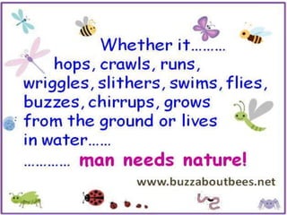 Eco session 2 for kids   biodiversity