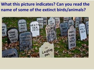 What this picture indicates? Can you read the
name of some of the extinct birds/animals?
 