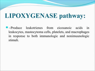 LIPOXYGENASE pathway:
–Produce leukotrienes from eicosanoic acids in
leukocytes, mastocytoma cells, platelets, and macrophages
in response to both immunologic and nonimuunologic
stimuli.
 