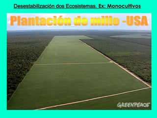 Desestabilización dos Ecosistemas. Ex: Monocultivos
 