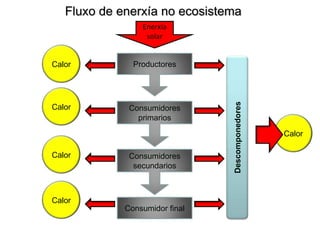 Fluxo de enerxía no ecosistema
                 Enerxía
                  solar


Calor          Productores




                                Descomponedores
Calor         Consumidores
                primarios
                                                  Calor

Calor         Consumidores
               secundarios



Calor
             Consumidor final
 