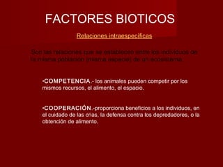 FACTORES BIOTICOS
Relaciones intraespecíficas
Son las relaciones que se establecen entre los individuos de
la misma población (misma especie) de un ecosistema:
•COMPETENCIA.- los animales pueden competir por los
mismos recursos, el alimento, el espacio.
•COOPERACIÓN.-proporciona beneficios a los individuos, en
el cuidado de las crias, la defensa contra los depredadores, o la
obtención de alimento.
 