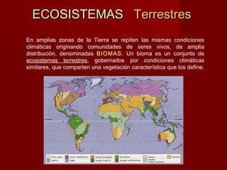 ECOSISTEMASECOSISTEMAS TerrestresTerrestres
En amplias zonas de la Tierra se repiten las mismas condiciones
climáticas originando comunidades de seres vivos, de amplia
distribución, denominadas BIOMAS. Un bioma es un conjunto de
ecosistemas terrestres, gobernados por condiciones climáticas
similares, que comparten una vegetación característica que los define.
 