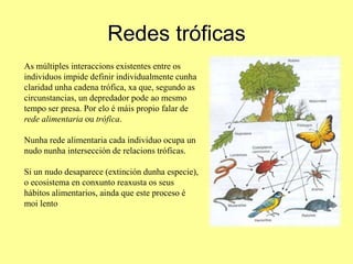 Redes tróficas
As múltiples interaccions existentes entre os
individuos impide definir individualmente cunha
claridad unha cadena trófica, xa que, segundo as
circunstancias, un depredador pode ao mesmo
tempo ser presa. Por elo é máis propio falar de
rede alimentaria ou trófica.

Nunha rede alimentaria cada individuo ocupa un
nudo nunha intersección de relacions tróficas.

Si un nudo desaparece (extinción dunha especie),
o ecosistema en conxunto reaxusta os seus
hábitos alimentarios, ainda que este proceso é
moi lento
 
