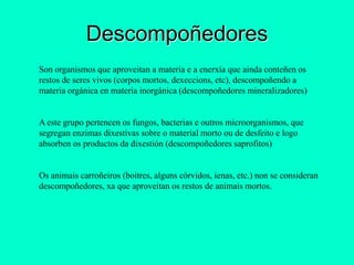 Descompoñedores
Son organismos que aproveitan a materia e a enerxía que ainda conteñen os
restos de seres vivos (corpos mortos, dexeccions, etc), descompoñendo a
materia orgánica en materia inorgánica (descompoñedores mineralizadores)


A este grupo pertencen os fungos, bacterias e outros microorganismos, que
segregan enzimas dixestivas sobre o material morto ou de desfeito e logo
absorben os productos da dixestión (descompoñedores saprofitos)


Os animais carroñeiros (boitres, alguns córvidos, ienas, etc.) non se consideran
descompoñedores, xa que aproveitan os restos de animais mortos.
 