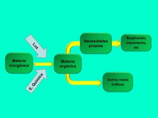 Respiración,
                        Necesidades          crecemento,
                          propias                 etc


  Materia     Materia
inorgánica   orgánica


                                  Outros niveis
                                    tróficos
 