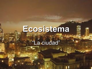 Ecosistema “ La ciudad” 