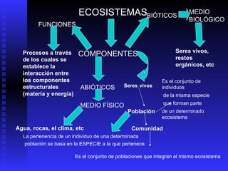 ECOSISTEMAS COMPONENTES FUNCIONES BIÓTICOS ABIÓTICOS Seres vivos, restos orgánicos, etc MEDIO BIOLÓGICO Procesos a través de los cuales se establece la interacción entre los componentes estructurales (materia y energía) MEDIO FÍSICO Agua, rocas, el clima, etc Seres   vivos Población  La pertenencia de un individuo de una determinada población se basa en la ESPECIE a la que pertenece . Comunidad   Es el conjunto de poblaciones que integran el mismo ecosistema Es el conjunto de individuos de la misma especie que forman parte  de un determinado ecosistema 