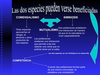 Las dos especies pueden verse beneficiadas COMENSALISMO Otras especies aprovechan el refugio, el alimento y otros productos de otra especie MUTUALISMO Las poblaciones sostienen una interacción que permite a las dos obtener una venta que no podrían tener por si solas  SIMBIOSIS Dos poblaciones establecen una interacción de manera tal que en la naturaleza no viven separadamente Las dos especies se ven limitadas en su desarrollo COMPETENCIA Cuando dos poblaciones forman parte de una misma comunidad, se establece una competición 