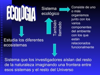 ECOLOGIA Estudia los diferentes   ecosistemas Sistema que los investigadores aíslan del resto de la naturaleza imaginando una frontera entre esos sistemas y el resto del Universo Sistema ecológico También llamado Consiste de uno o más organismos junto con los varios componentes del ambiente con los que están relacionados funcionalmente 