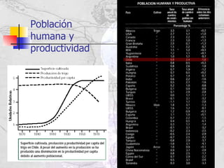 Población humana y productividad 