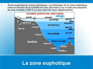 La zone euphotique Zones euphotiques versus aphotiques. La profondeur de la zone euphotique varie en fonction de la turbidité de l’eau (de moins d’un m dans les estuaires les plus troubles à 200 m ou plus dans les eaux oligothrophes). 