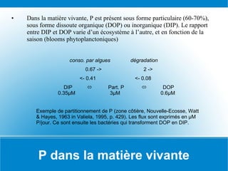 P dans la matière vivante Dans la matière vivante, P est présent sous forme particulaire (60-70%), sous forme dissoute organique (DOP) ou inorganique (DIP). Le rapport entre DIP et DOP varie d’un écosystème à l’autre, et en fonction de la saison (blooms phytoplanctoniques) conso. par algues  dégradation 0.67 ->  2 -> <- 0.41  <- 0.08 DIP     Part. P     DOP   0.35 μ M  3 μ M  0.6 μ M Exemple de partitionnement de P (zone côtière, Nouvelle-Ecosse, Watt & Hayes, 1963 in Valiela, 1995, p. 429). Les flux sont exprimés en  μ M P/jour. Ce sont ensuite les bactéries qui transforment DOP en DIP. 