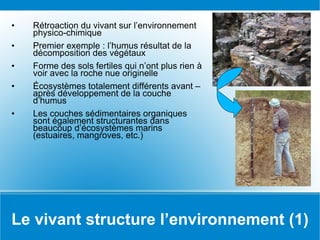 Le vivant structure l’environnement (1) Rétroaction du vivant sur l’environnement physico-chimique Premier exemple : l’humus résultat de la décomposition des végétaux Forme des sols fertiles qui n’ont plus rien à voir avec la roche nue originelle Écosystèmes totalement différents avant – après développement de la couche d’humus Les couches sédimentaires organiques sont également structurantes dans beaucoup d’écosystèmes marins (estuaires, mangroves, etc.) 