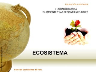 EDUCACIÓN A DISTANCIA

                                                                        I UNIDAD DIDÁCTICA
                                                              EL AMBIENTE Y LAS REGIONES NATURALES
Ciencias de la Comunicación




                                                ECOSISTEMA

                              Curso de Ecosistemas del Perú
 