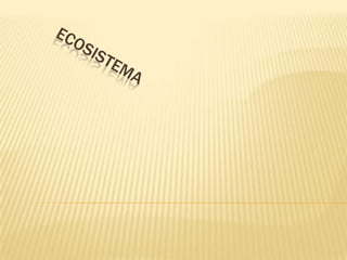 ECOSISTEMA 