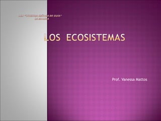 Prof. Vanessa Mattos  