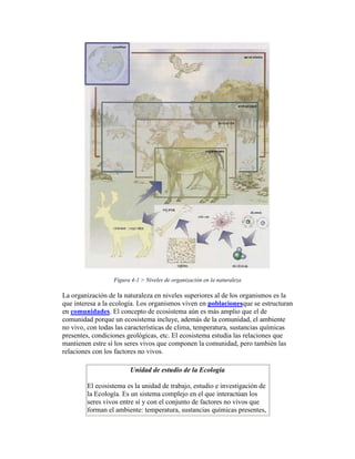 Figura 4-1 > Niveles de organización en la naturaleza

La organización de la naturaleza en niveles superiores al de los organismos es la
que interesa a la ecología. Los organismos viven en poblacionesque se estructuran
en comunidades. El concepto de ecosistema aún es más amplio que el de
comunidad porque un ecosistema incluye, además de la comunidad, el ambiente
no vivo, con todas las características de clima, temperatura, sustancias químicas
presentes, condiciones geológicas, etc. El ecosistema estudia las relaciones que
mantienen estre sí los seres vivos que componen la comunidad, pero también las
relaciones con los factores no vivos.

                        Unidad de estudio de la Ecología

        El ecosistema es la unidad de trabajo, estudio e investigación de
        la Ecología. Es un sistema complejo en el que interactúan los
        seres vivos entre sí y con el conjunto de factores no vivos que
        forman el ambiente: temperatura, sustancias químicas presentes,
 